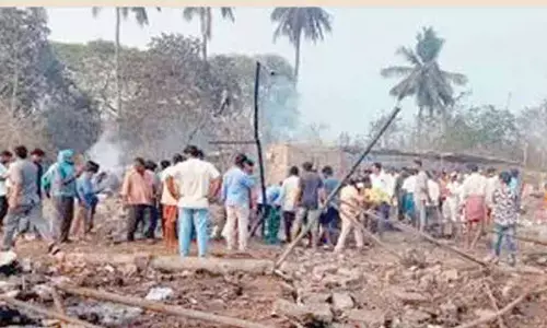 23 perish in massive firecracker factory blast