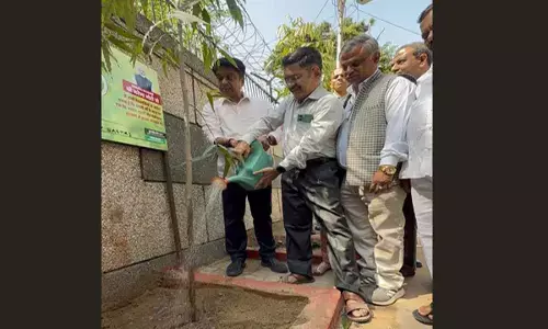 NDMC’s ‘Ek Ped Maa Ke Naam’ campaign reaches Mandir Marg: Kuljeet Singh Chahal