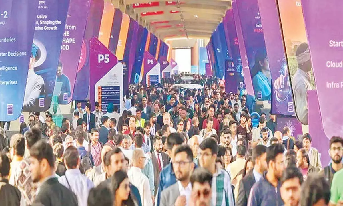 Personal Portfolio Images