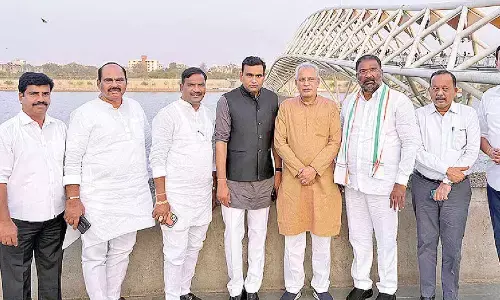 Minister bats for Amul model to give boost to TG dairy sector