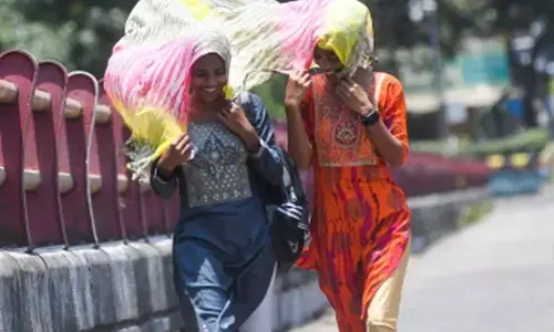 Odisha govt issues heat preparedness guidelines for higher education institutions