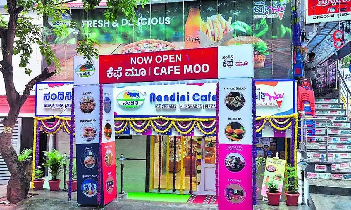 KMF to modernise Nandini outlets, targets 200 shops this year KMF to modernise Nandini outlets, targets 200 shops this year