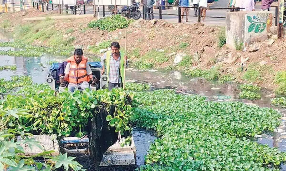 VMC takes up desilting, weed removal works VMC takes up desilting, weed removal works