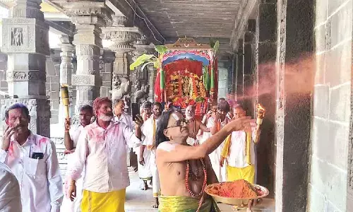 ‘Dolotsavam’, ‘Vasanthotsavam’ celebrated with gaiety ‘Dolotsavam’, ‘Vasanthotsavam’ celebrated with gaiety