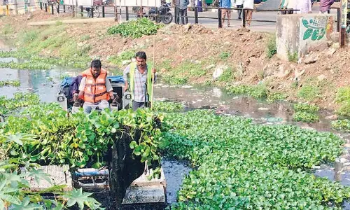 VMC takes up desilting, weed removal works VMC takes up desilting, weed removal works