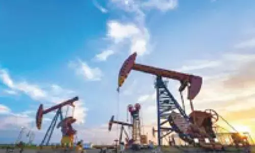 Gulf crisis to dampen investments: BMI