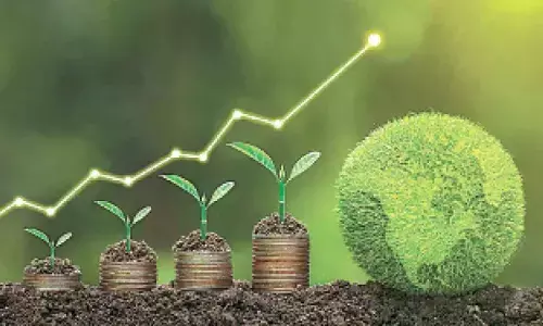 Sovereign green bonds continue to anchor India market: Report Sovereign green bonds continue to anchor India market: Report