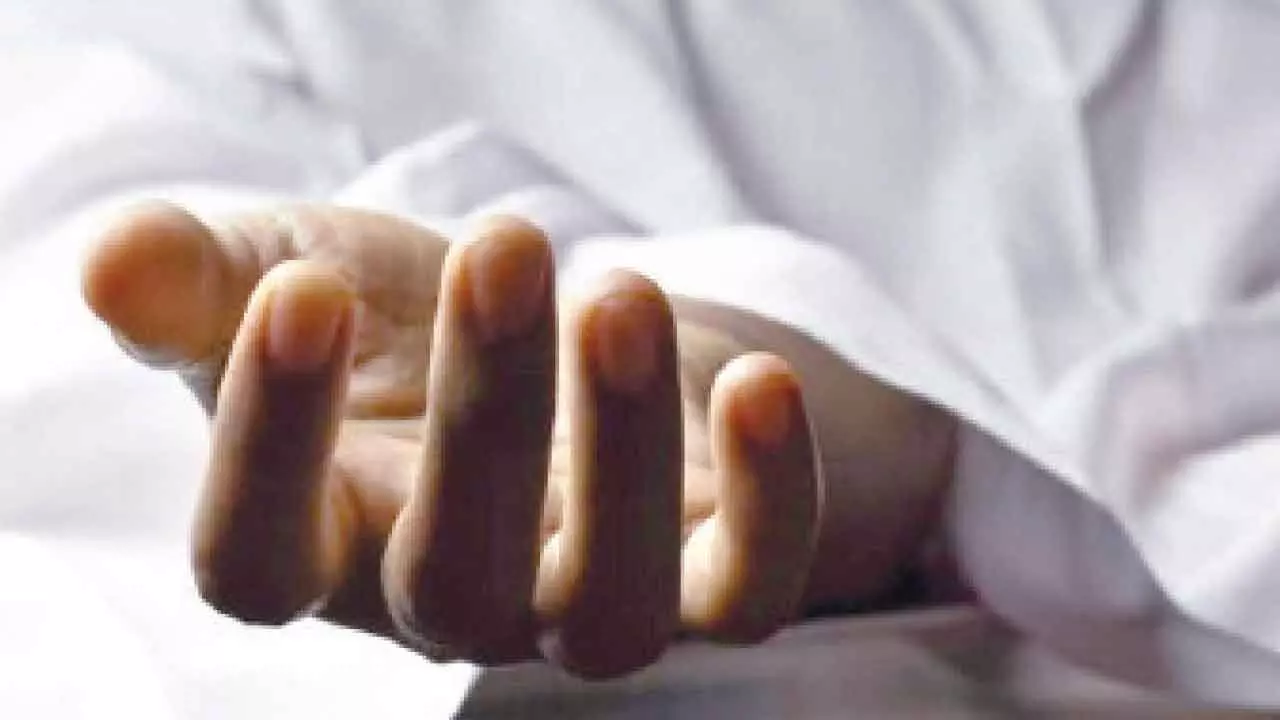 Two die as van overturns Two die as van overturns