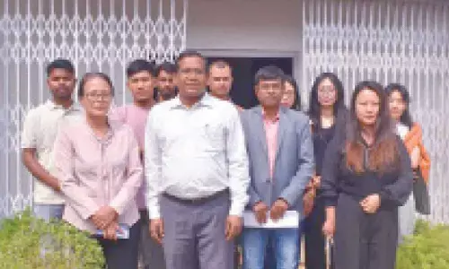 Study highlights genetic richness of wild banana for climate-resilient farming