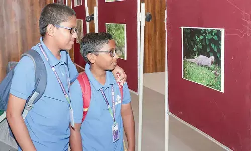 80% population depends on plant-based medicine