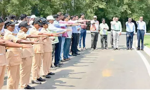 522 secure job offers at Mega Job Mela