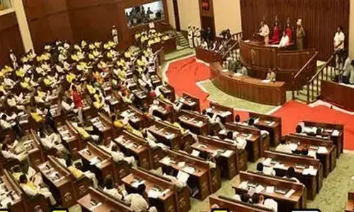 AP legislative council approves fire services and Jan Vishwas amendments