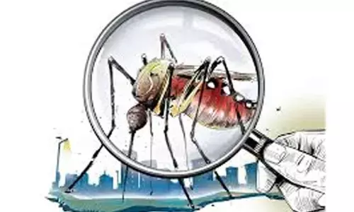 Stung by mosquito menace, residents to stage novel protest near Mir Alam Tank