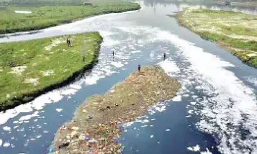10 sewage plants upgraded,  Yamuna cleanup intensified