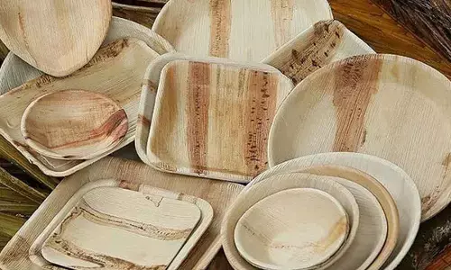 Areca leaf plate industry hit as global conflict disrupts exports