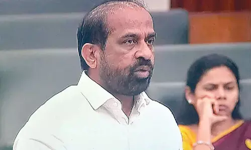 Minister urges public action against food adulteration