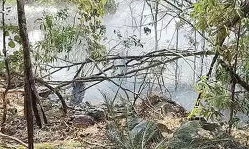 Fire erupts in Seshachalam hills, officials contain blaze