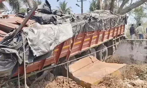 Two Kerala Youth Killed as Lorry Crashes Into Tree Near Tumakuru