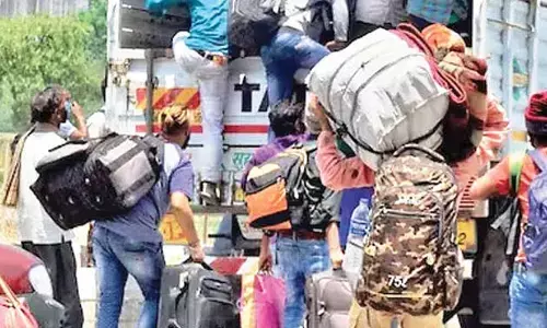 124 illegal Bangladeshi nationals held in crackdown