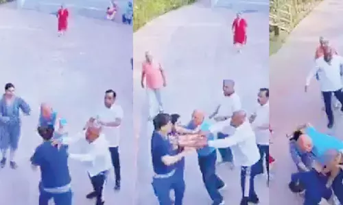 Argument over dog walk in apartment complex turns ugly