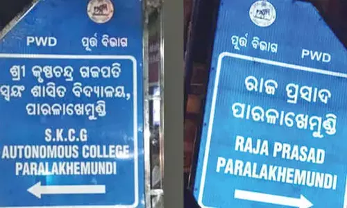 Flawed Odia signboards spark outrage