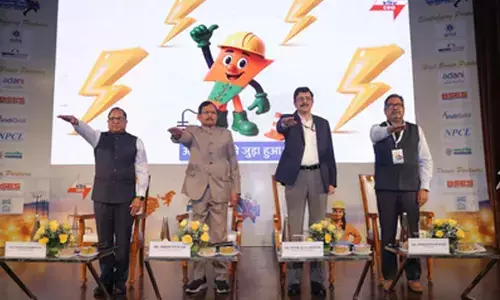 Modern tech can help identify potential faults, minimise risk to linemen: Minister