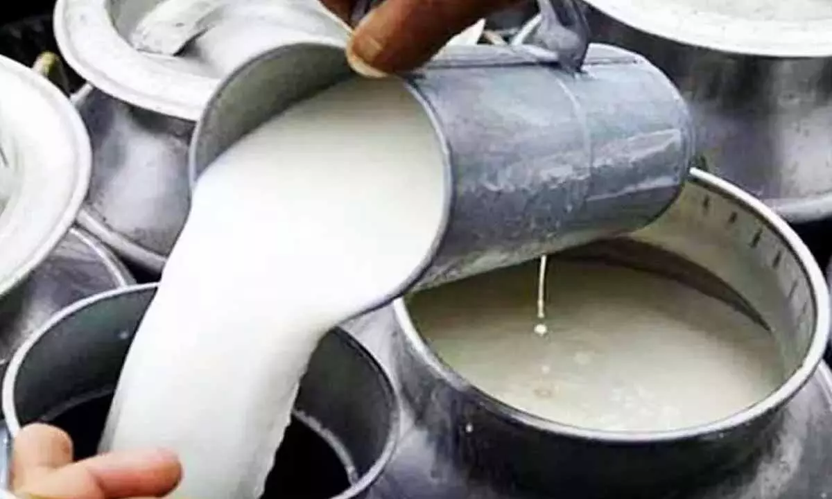 Adulterated milk: Toll rises to 11 Adulterated milk: Toll rises to 11