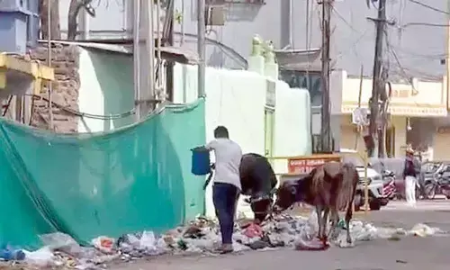 Gandagihatao…!Places of worship in city pray for removal of garbage Gandagihatao…!Places of worship in city pray for removal of garbage