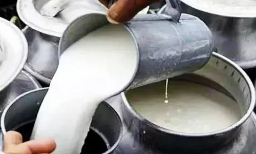 Adulterated milk: Toll rises to 11