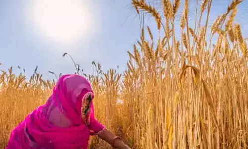 Climate change hits women hardest, funding support inadequate