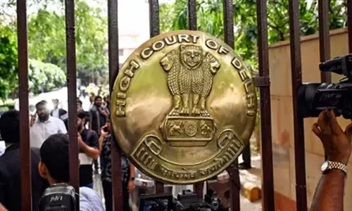 Delhi High Court Stays Critical Remarks Against CBI In Excise Policy Case