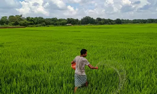 Ruckus in Chhattisgarh Assembly over paddy procurement, opium cultivation in Durg
