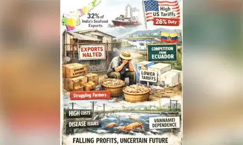 AP’s $2.3 billion seafood export industry in disarray