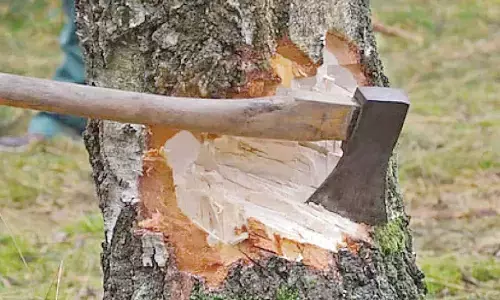 Greens see red over plan to build convention centre at Mysore Lamps site