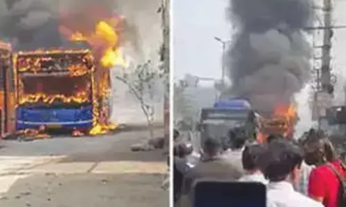 2 dead as speeding DTC bus hits many vehicles