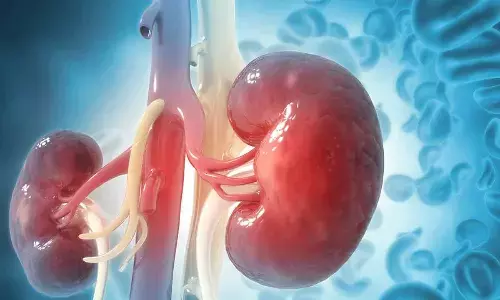 How to Keep Your Kidneys Healthy