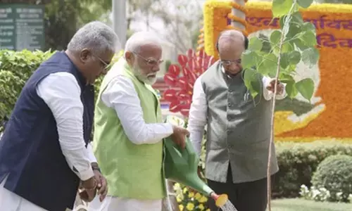 Inspired by India, Ghana starts ‘Ek Ped Maa Ke Naam’ campaign​