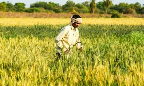 Gujarat farmers to receive over Rs 1,028 crore in PM Kisan 22nd instalment​