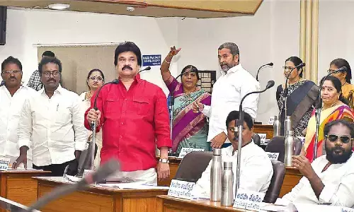 Heated exchanges mar last VMC Council meeting