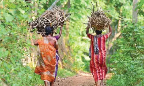 LPG shortage in most States: Ukhand readies firewood supply