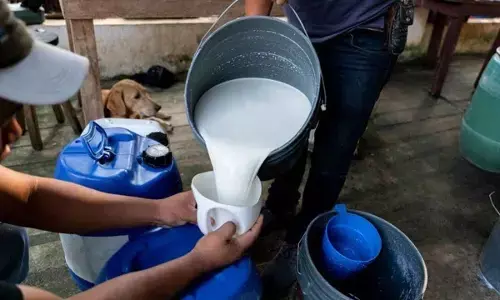 FSSAI certificate must for all milk producers