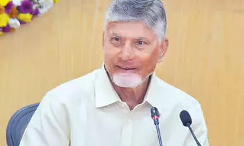 CM Naidu asks collectors to focus on investments