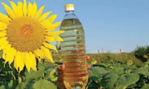 Sunflower oil imports drop 51% as war disrupts supply routes