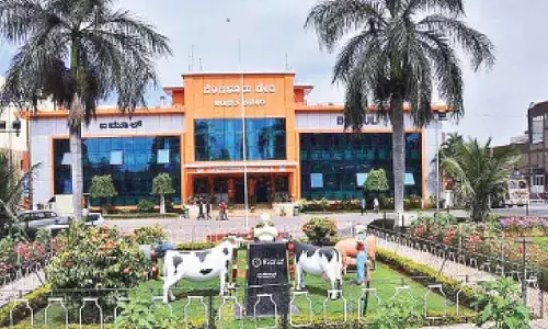 One-rupee incentive per litre as Ugadi gift for milk producers