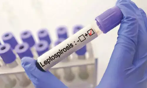 Leptospirosis cases have risen sharply in state over last five years