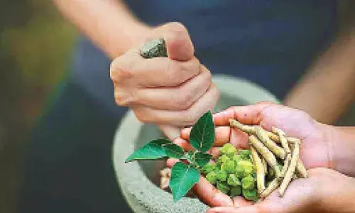 National Institute of Ayurveda launches podcast on traditional medicine