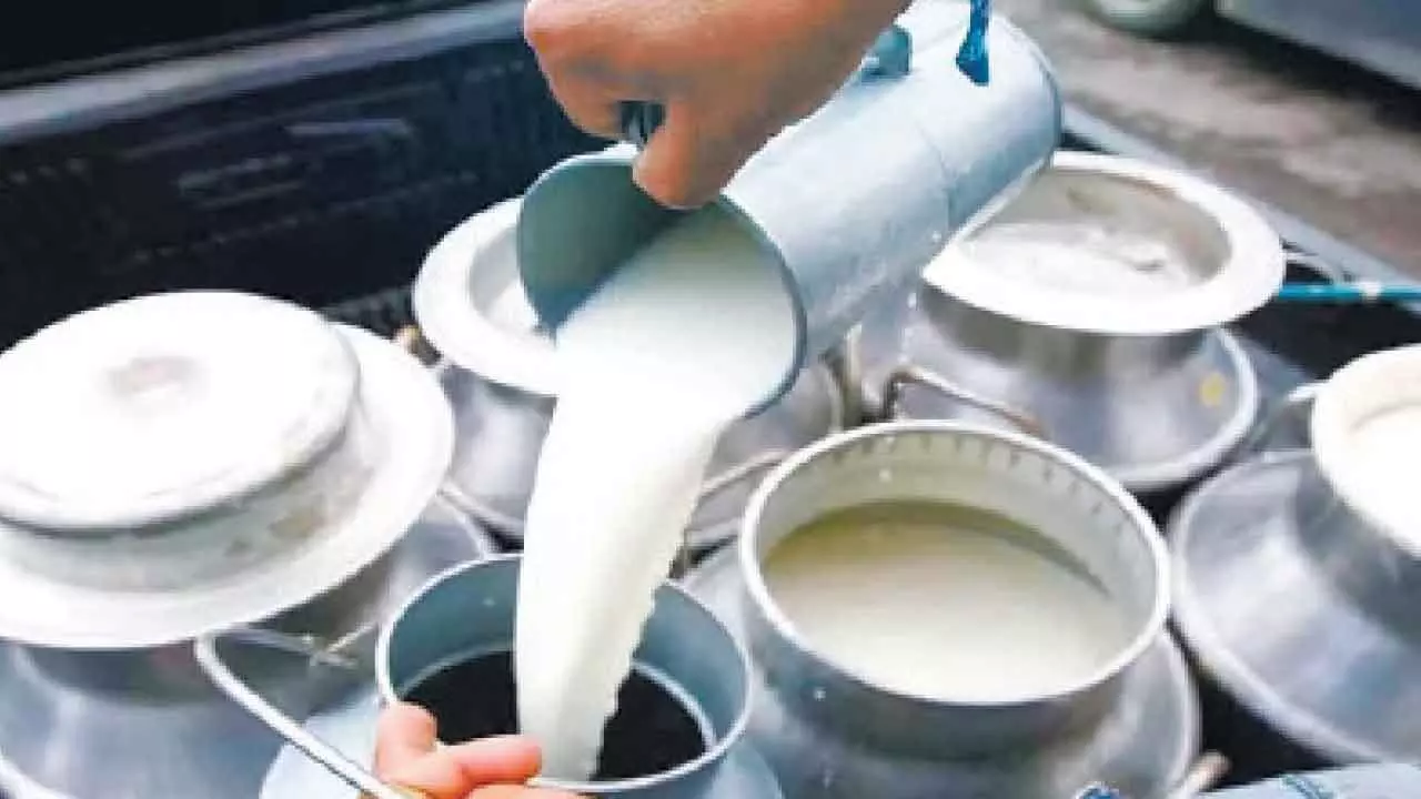 Over 3,000 adulterated milk samples detected across State in one year Over 3,000 adulterated milk samples detected across State in one year