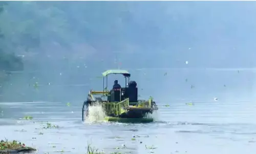 Clean Yamuna drive hit by sewage plants poor show