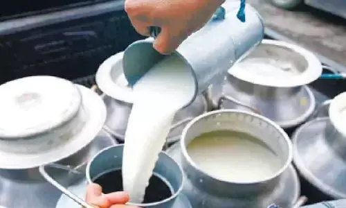 Over 3,000 adulterated milk samples detected across State in one year