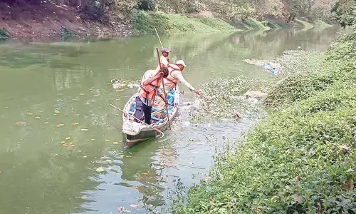 VMC launches anti-larval drive in Budameru drain